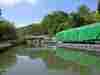 Bathampton Swing Bridge