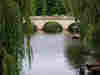 River Cam © Andyrob