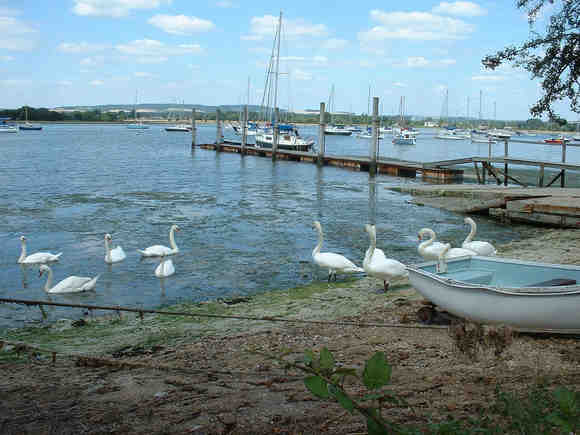 Dell Quay © Dave Turton