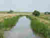 Looking towards Bridgwater, OS grid ref ST 299 274 © Stuart Jenkins