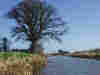 East of Creech St. Michael  © David Dooley