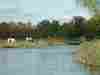 Horses graze by the water`s edge © Stephen & Lucy Dawson