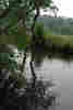 St Catherine`s Hill © mberry