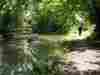 Basingstoke Canal near to Broad Oak Bridge