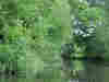 St Patrick`s Stream © Jim Callender 