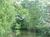 St Patrick`s Stream © Jim Callender 