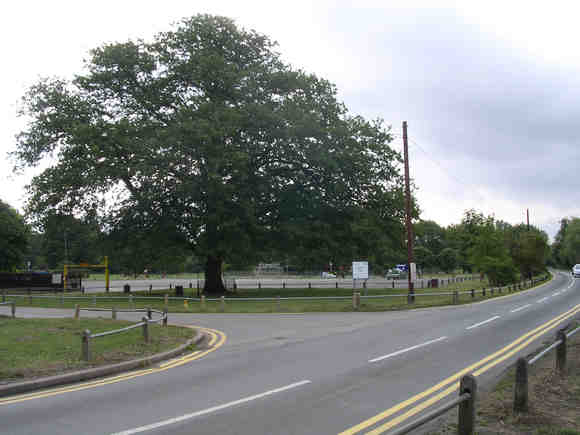 The car park