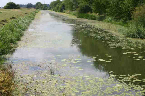 The Canal near Rye © Alex Wolfson (subject to the GNU Free Documentation Licence)