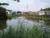 The end of the Slough Arm © Nigel Cox
