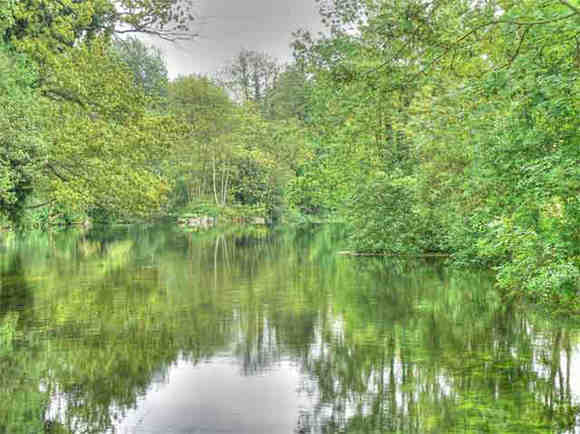 Colne Valley Country Park © Steve James