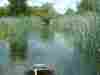 Reed Beds 