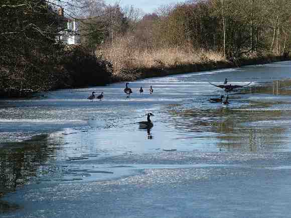 Frozen canal at the Aquadrome 