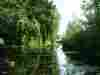 Idyllic River 
