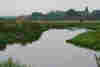 Flood Meadows  River Chelmer © Cαгσℓіпє