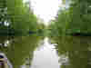 The river slows to its indolent best 