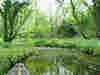 Small creeks beckon you to investigate 