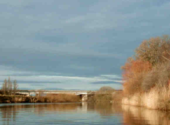 Early morning on the River Ure 
