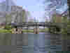 The River Wey 