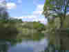 The canal passes through natural woodland
