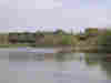Eelmoor Flash